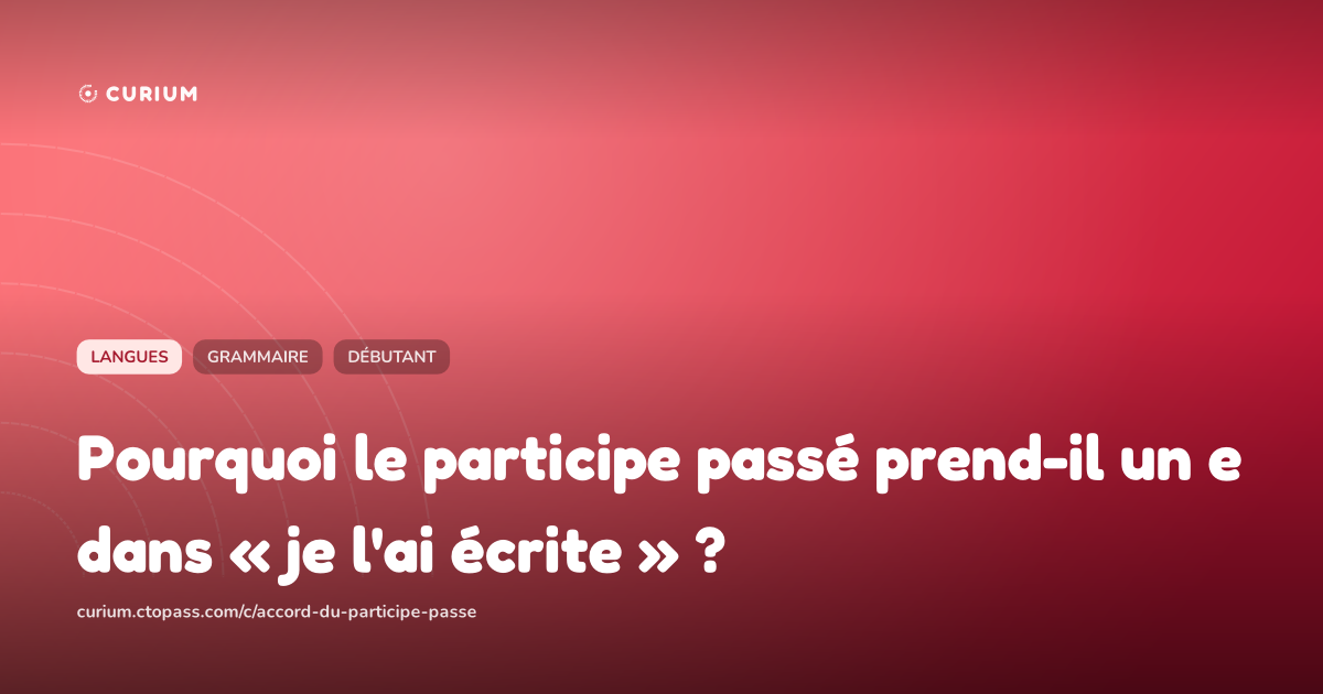 Pourquoi le participe passé prend-il un e dans « je l'ai écrite » ?