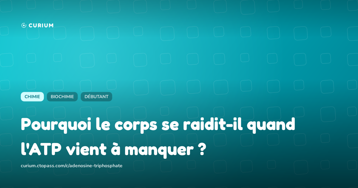 Pourquoi le corps se raidit-il quand l'ATP vient à manquer ?