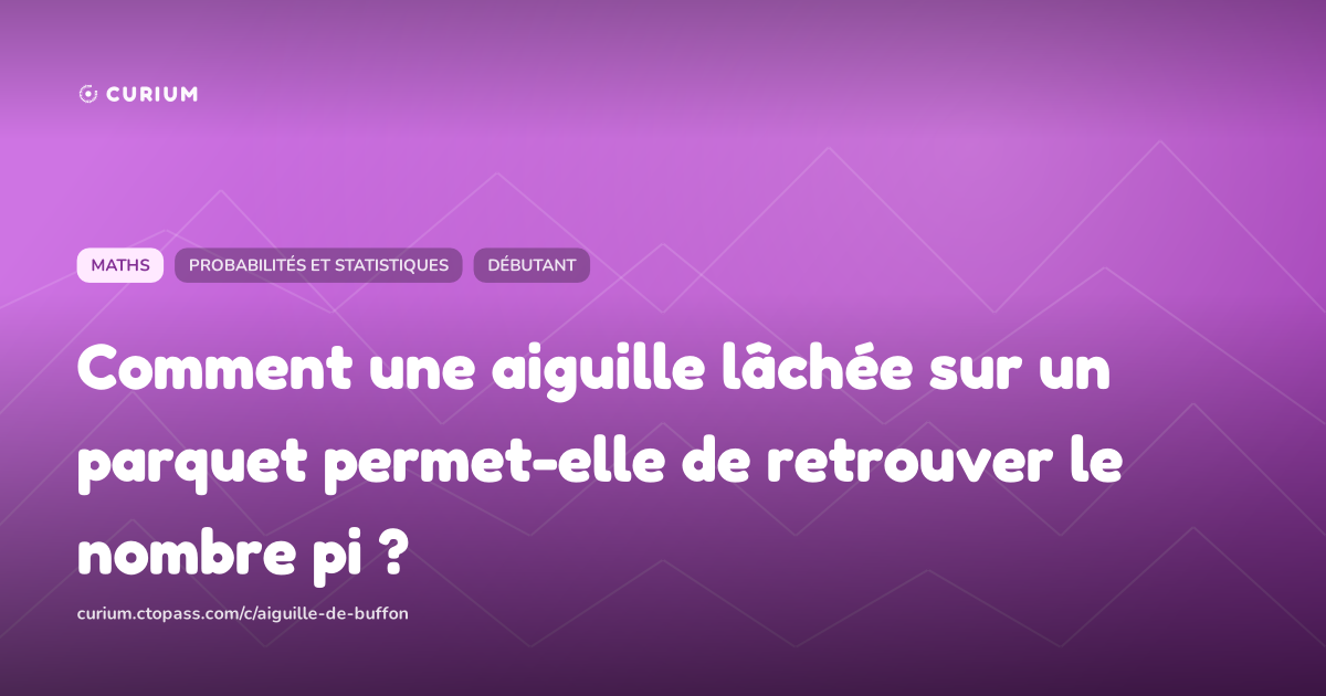 Comment une aiguille lâchée sur un parquet permet-elle de retrouver le nombre pi ?
