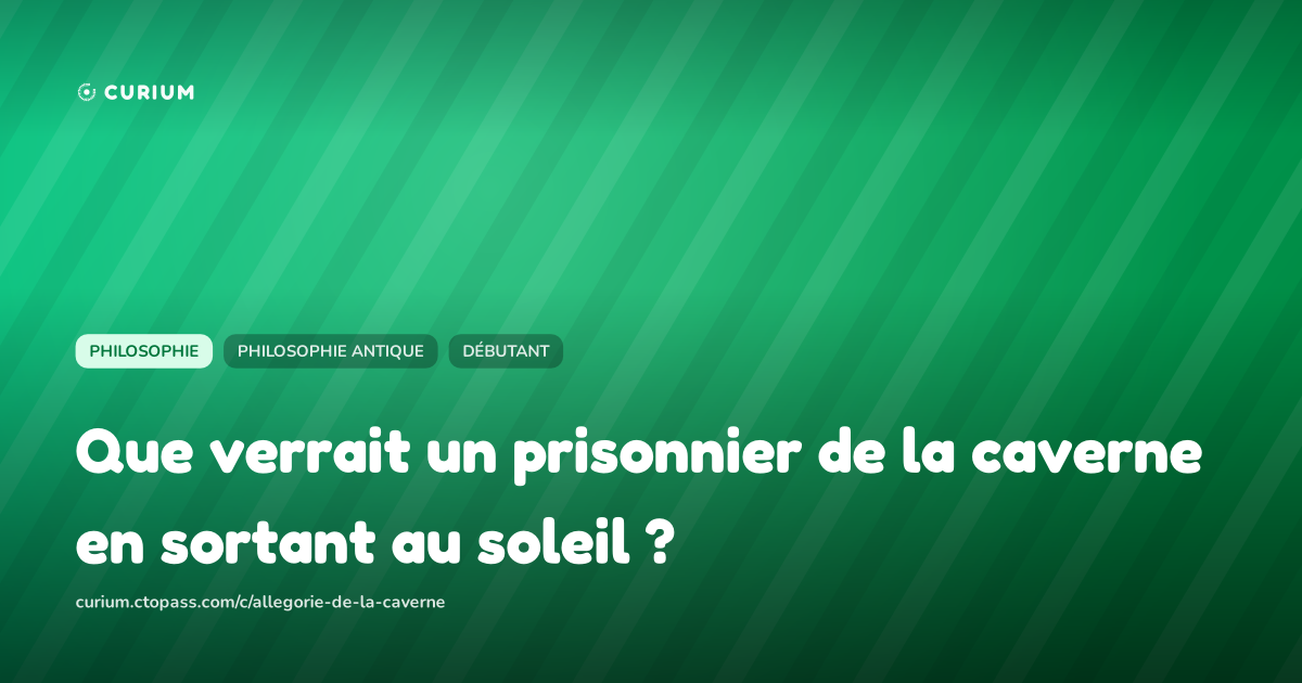 Que verrait un prisonnier de la caverne en sortant au soleil ?