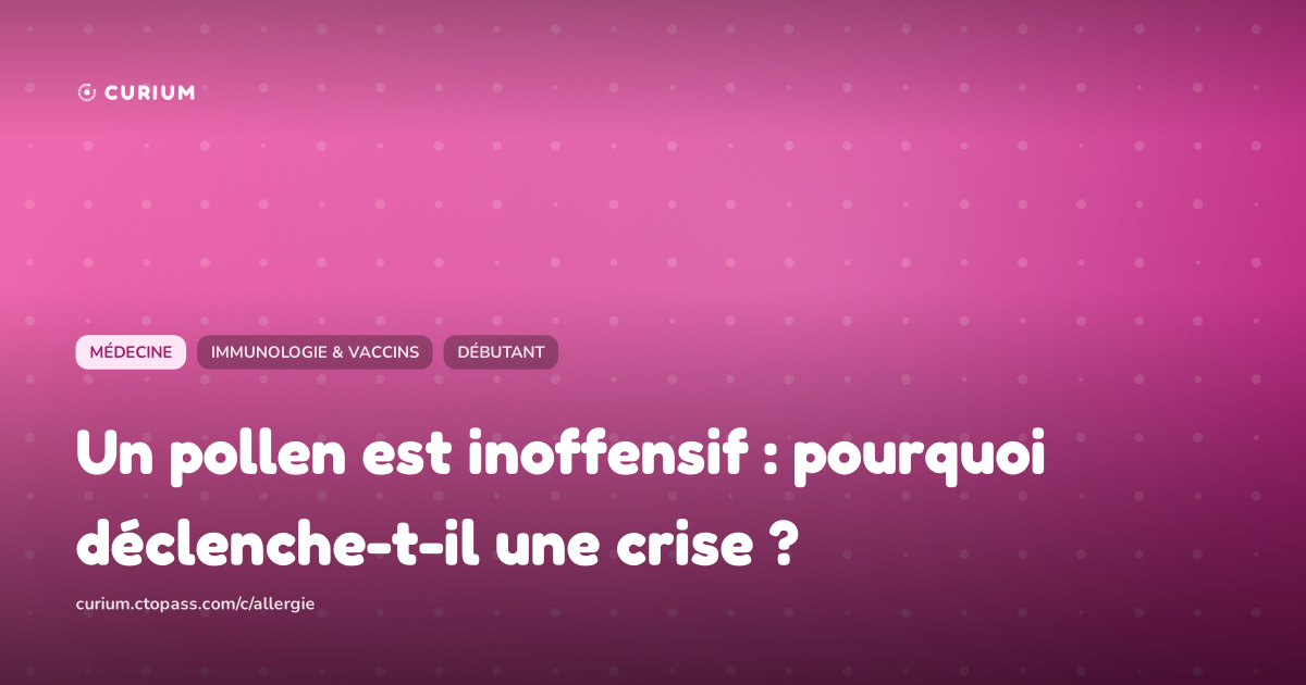 Un pollen est inoffensif : pourquoi déclenche-t-il une crise ?