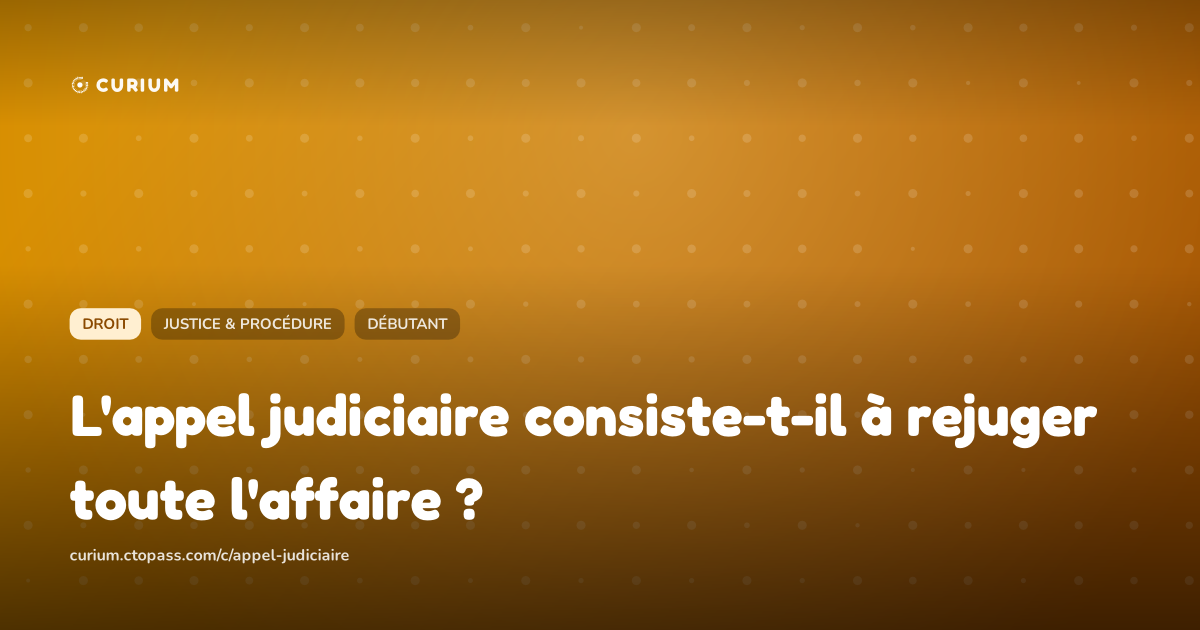 L'appel judiciaire consiste-t-il à rejuger toute l'affaire ?