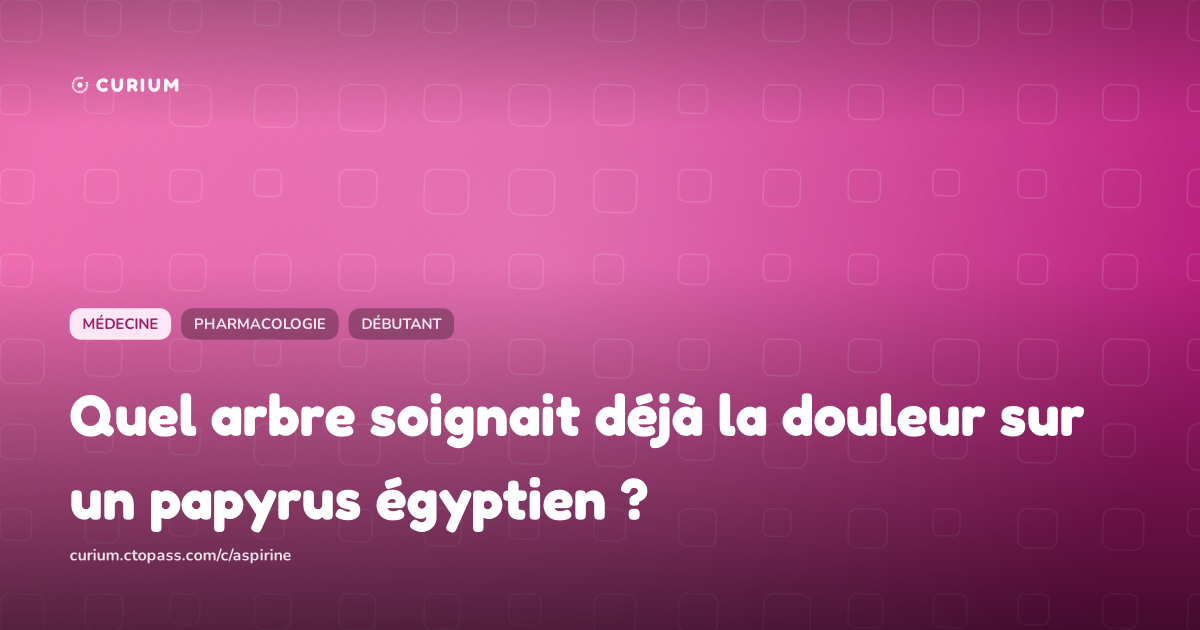 Quel arbre soignait déjà la douleur sur un papyrus égyptien ?