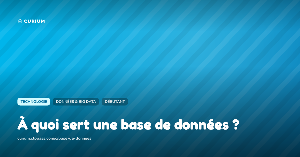 À quoi sert une base de données ?