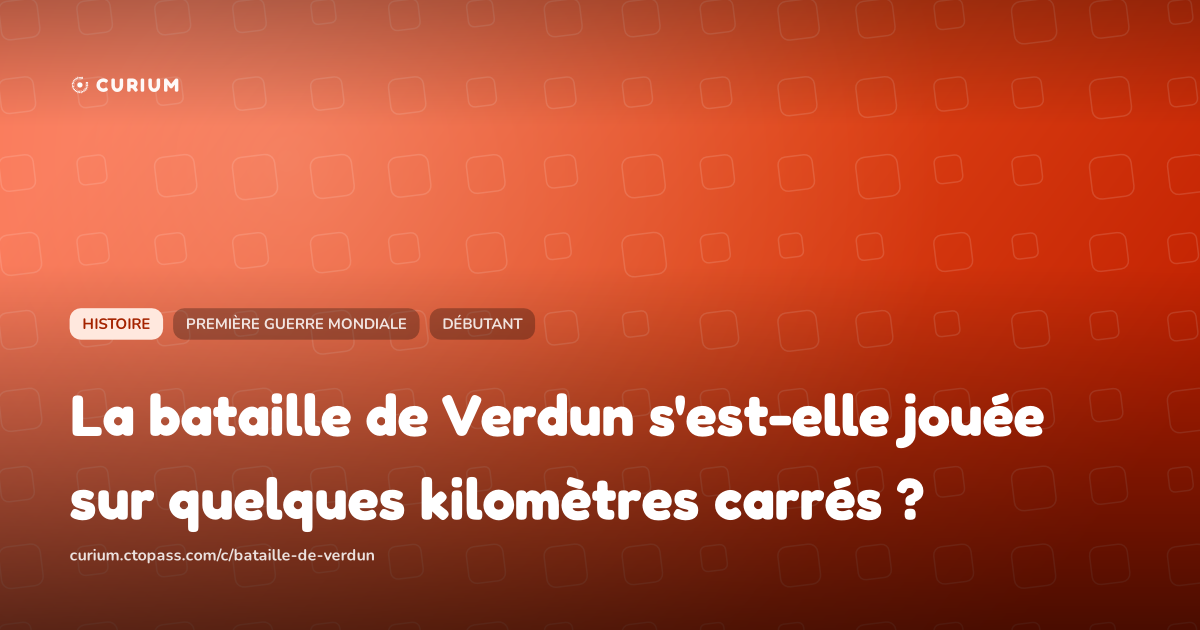 La bataille de Verdun s'est-elle jouée sur quelques kilomètres carrés ?