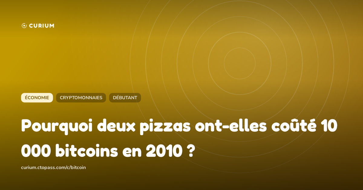 Pourquoi deux pizzas ont-elles coûté 10 000 bitcoins en 2010 ?