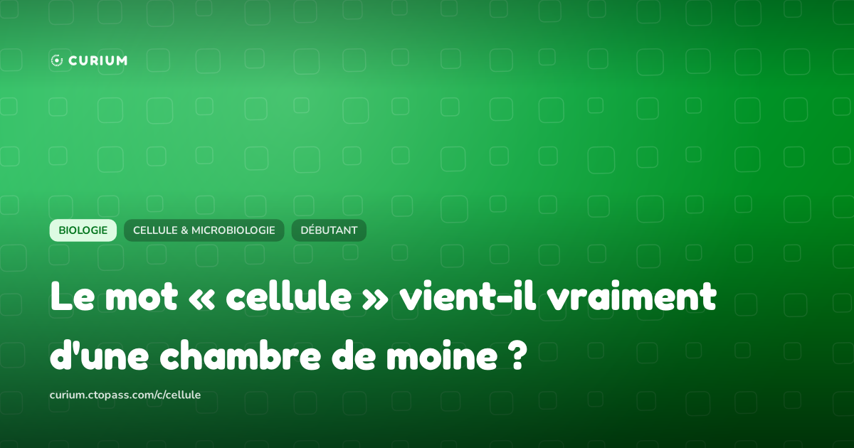 Le mot « cellule » vient-il vraiment d'une chambre de moine ?