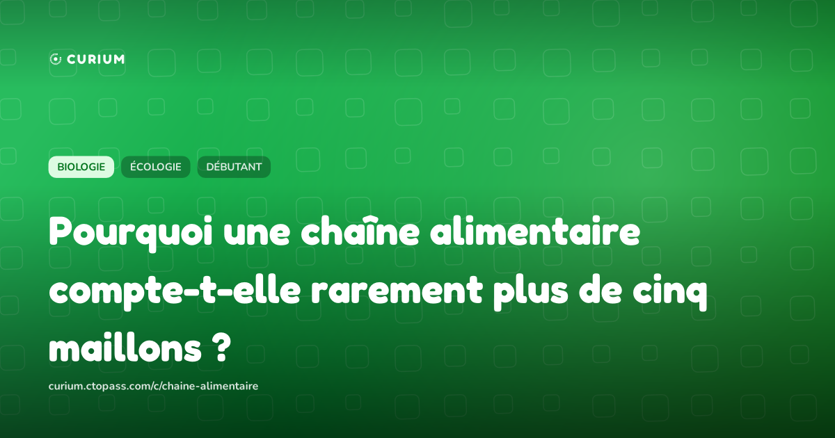 Pourquoi une chaîne alimentaire compte-t-elle rarement plus de cinq maillons ?