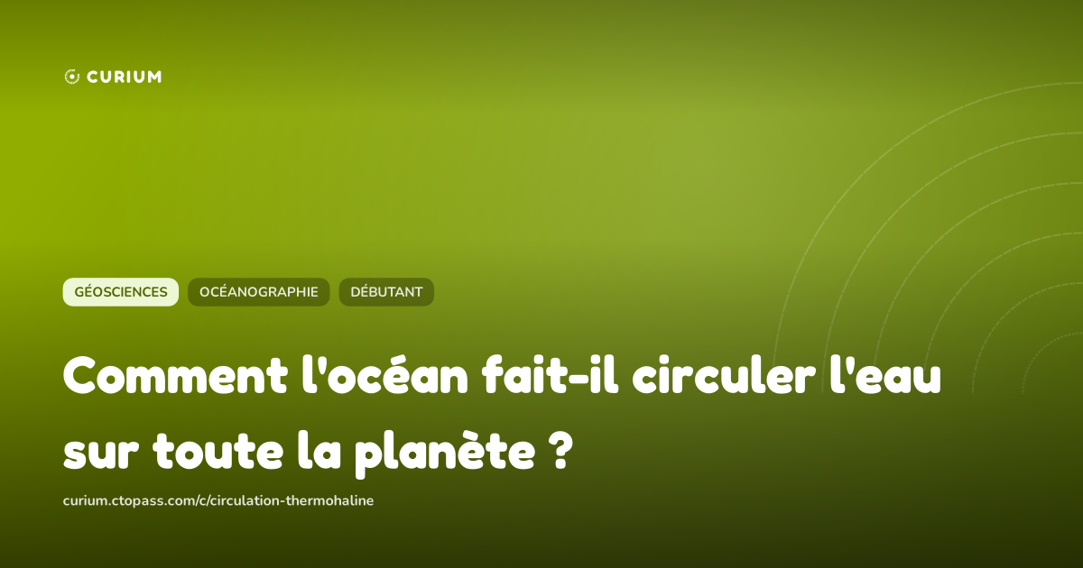 Comment l'océan fait-il circuler l'eau sur toute la planète ?