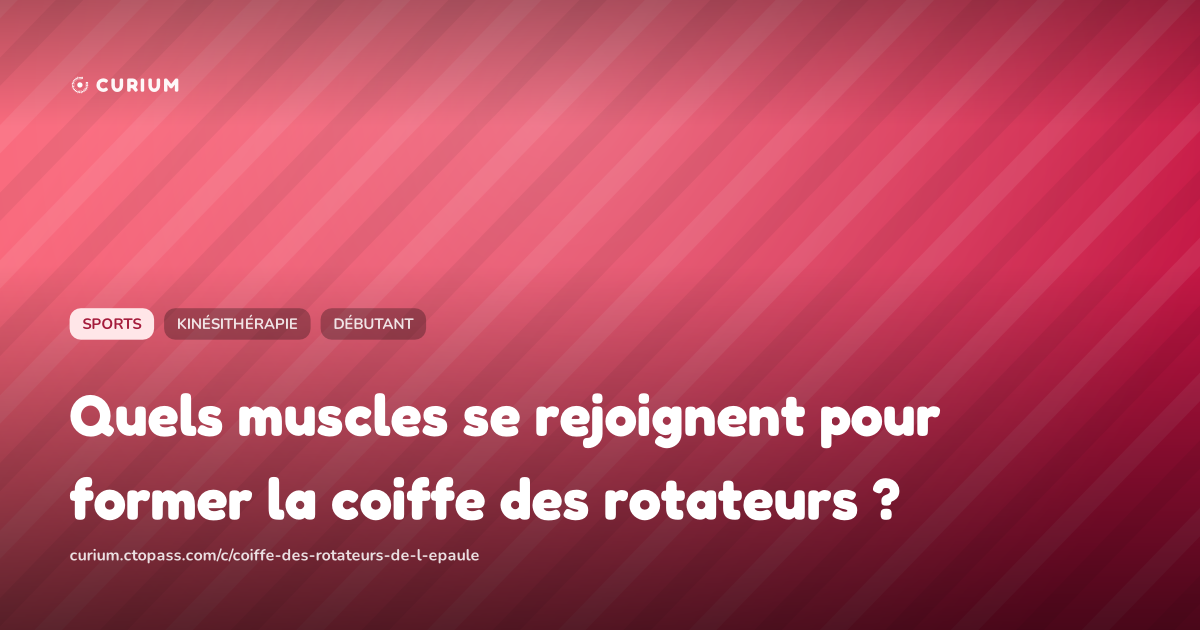 Quels muscles se rejoignent pour former la coiffe des rotateurs ?