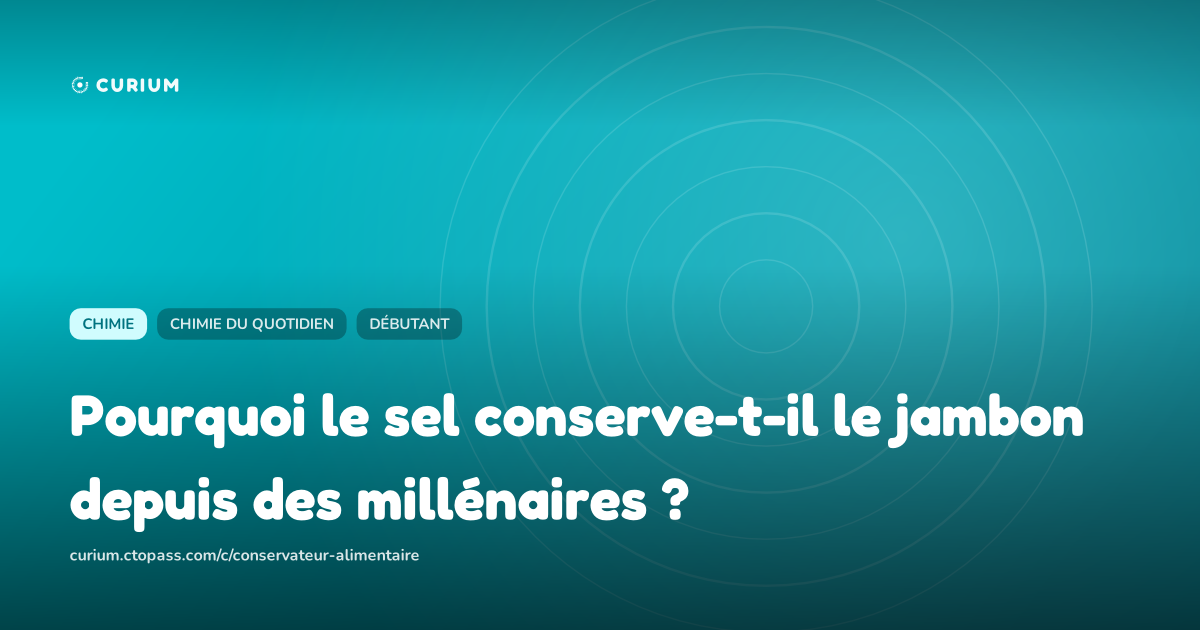 Pourquoi le sel conserve-t-il le jambon depuis des millénaires ?
