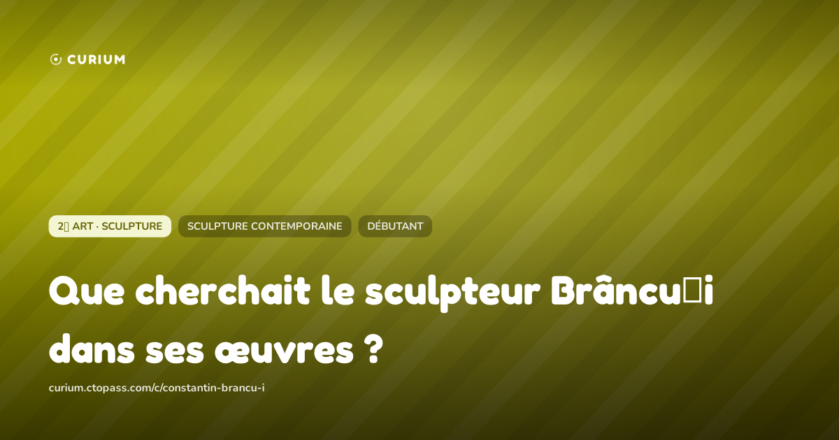 Que cherchait le sculpteur Brâncuși dans ses œuvres ?