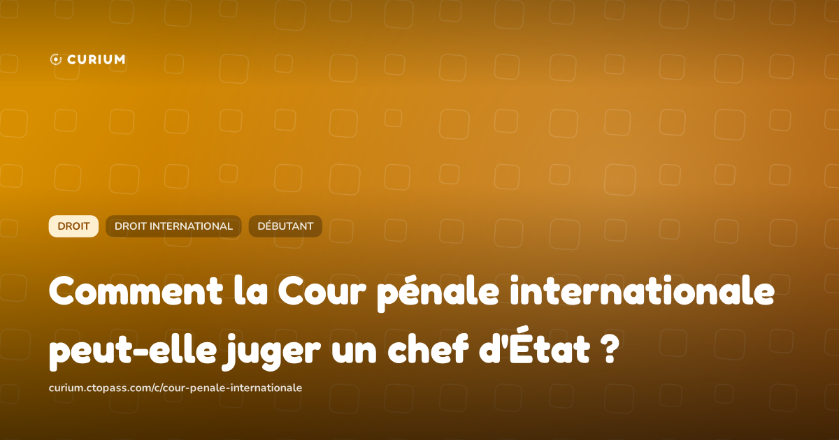 Comment la Cour pénale internationale peut-elle juger un chef d'État ?