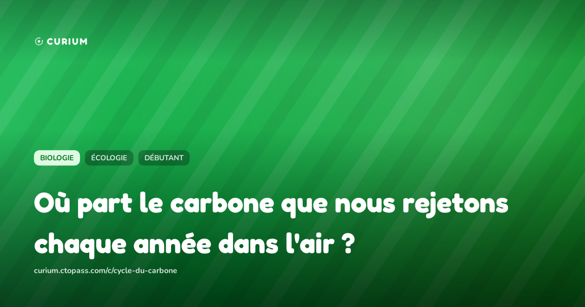 Où part le carbone que nous rejetons chaque année dans l'air ?
