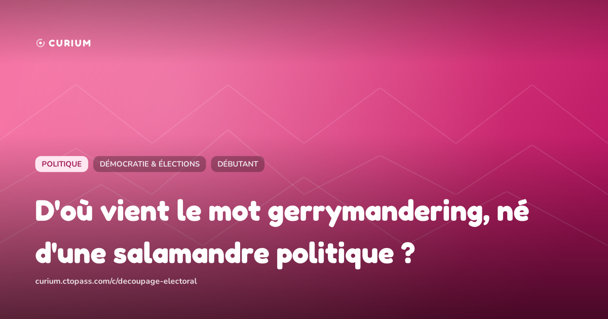 D'où vient le mot gerrymandering, né d'une salamandre politique ?
