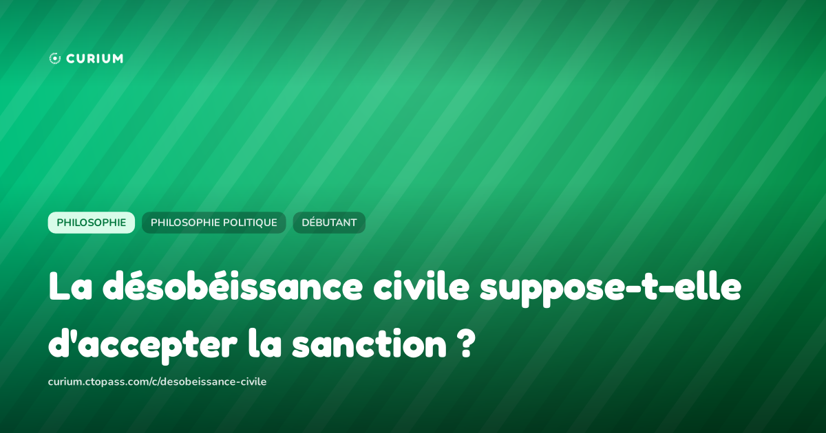 La désobéissance civile suppose-t-elle d'accepter la sanction ?