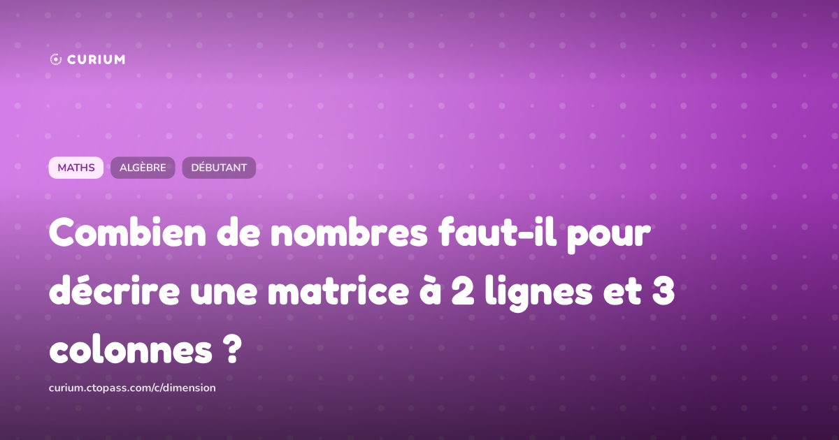 Combien de nombres faut-il pour décrire une matrice à 2 lignes et 3 colonnes ?