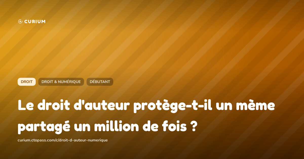 Le droit d'auteur protège-t-il un mème partagé un million de fois ?