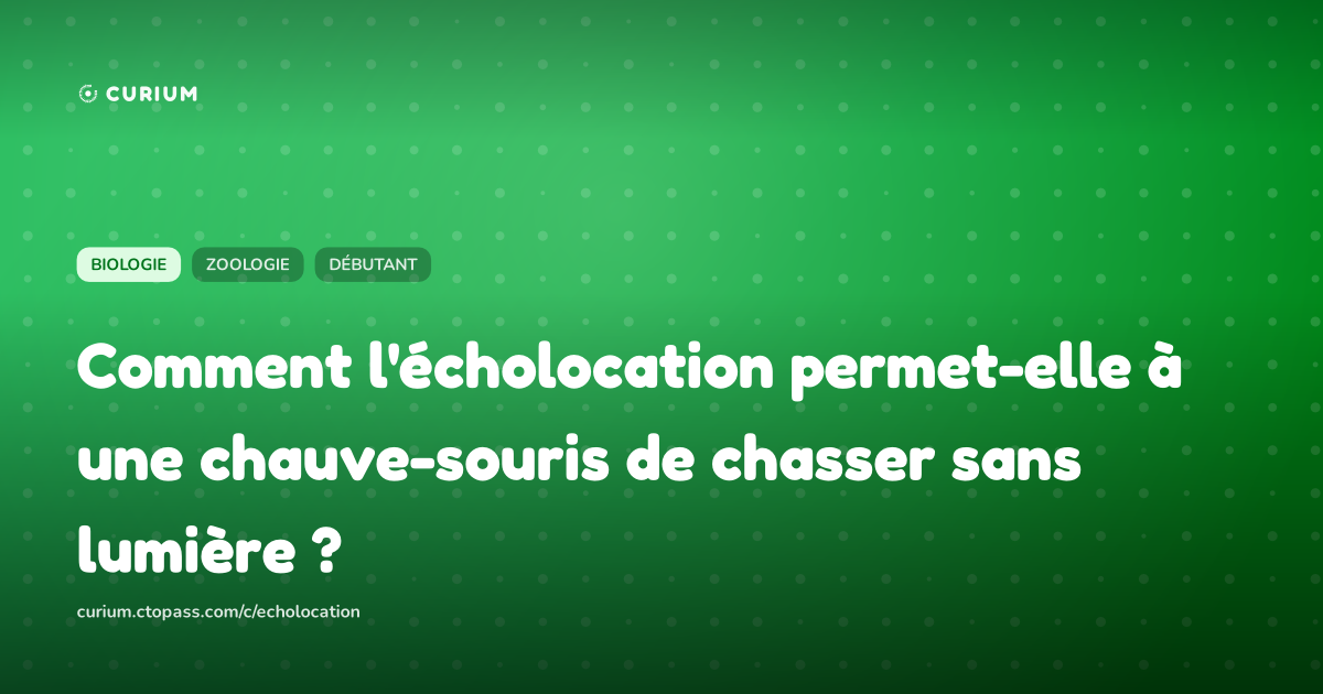 Comment l'écholocation permet-elle à une chauve-souris de chasser sans lumière ?