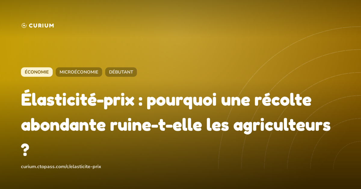 Élasticité-prix : pourquoi une récolte abondante ruine-t-elle les agriculteurs ?