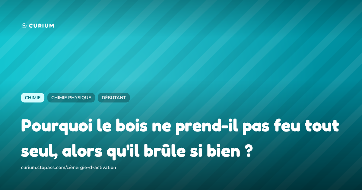 Pourquoi le bois ne prend-il pas feu tout seul, alors qu'il brûle si bien ?