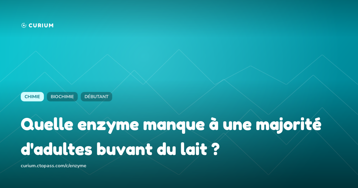 Quelle enzyme manque à une majorité d'adultes buvant du lait ?