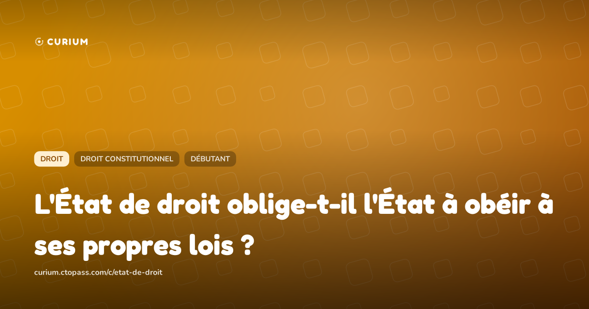 L'État de droit oblige-t-il l'État à obéir à ses propres lois ?