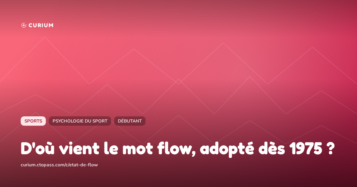 D'où vient le mot flow, adopté dès 1975 ?