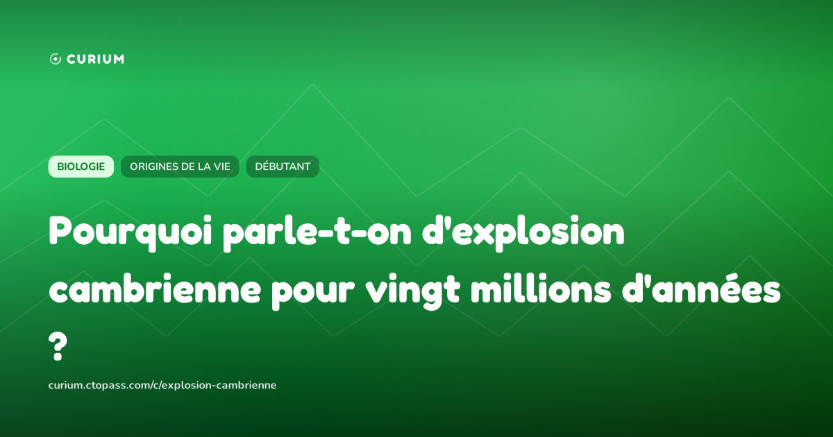Pourquoi parle-t-on d'explosion cambrienne pour vingt millions d'années ?
