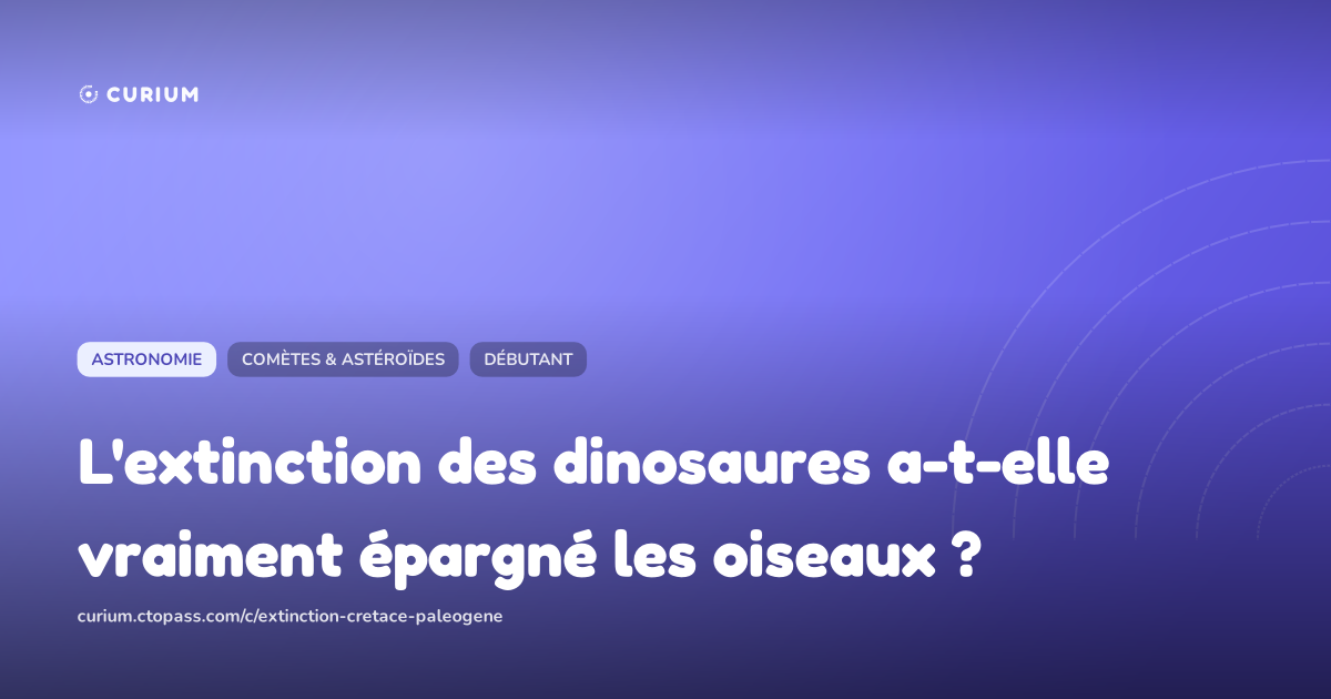 L'extinction des dinosaures a-t-elle vraiment épargné les oiseaux ?