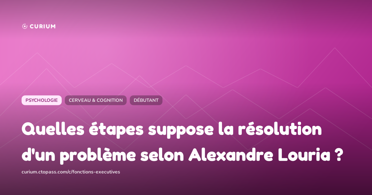 Quelles étapes suppose la résolution d'un problème selon Alexandre Louria ?