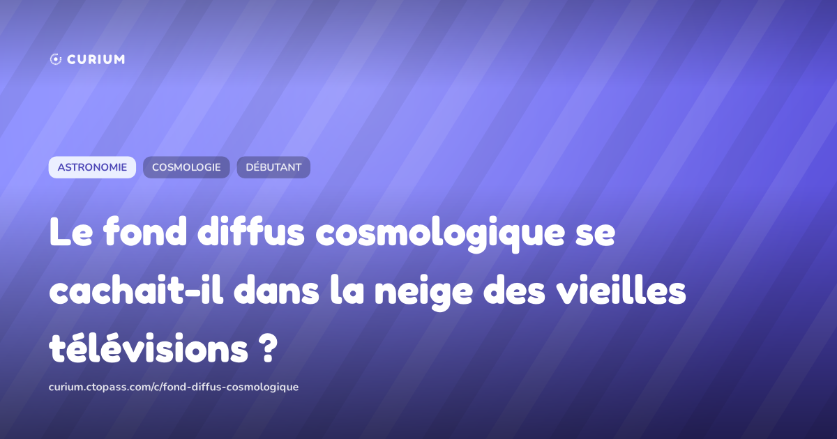 Le fond diffus cosmologique se cachait-il dans la neige des vieilles télévisions ?