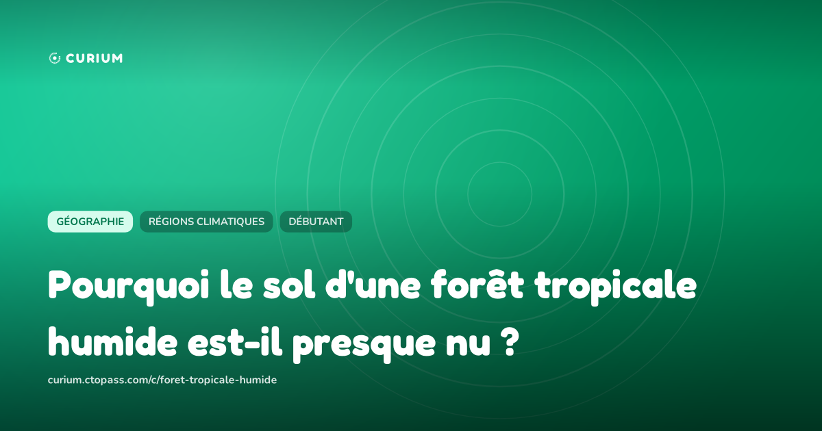 Pourquoi le sol d'une forêt tropicale humide est-il presque nu ?