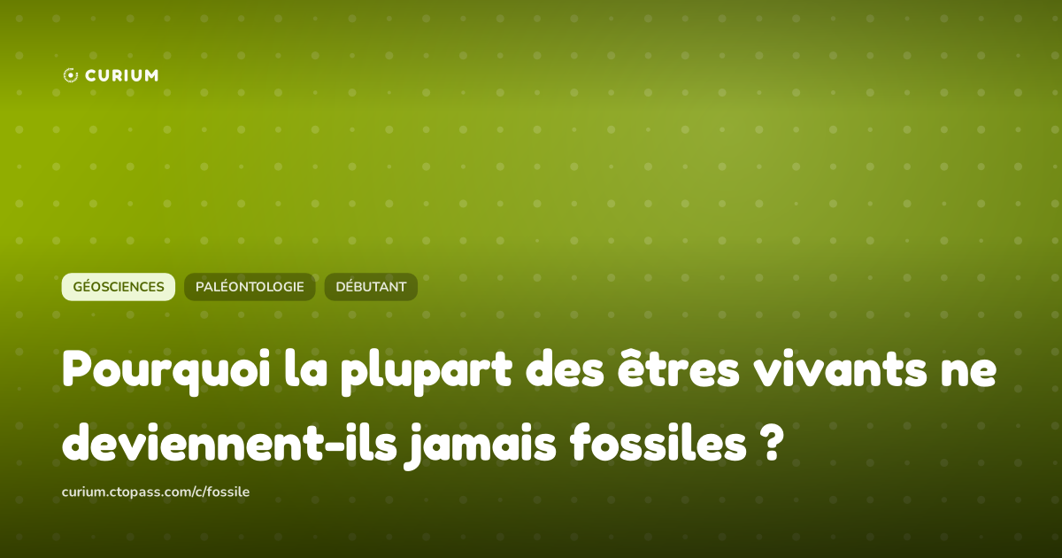 Pourquoi la plupart des êtres vivants ne deviennent-ils jamais fossiles ?