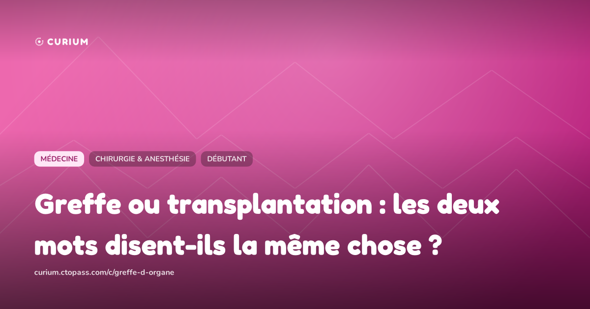 Greffe ou transplantation : les deux mots disent-ils la même chose ?