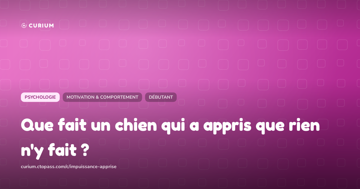 Que fait un chien qui a appris que rien n'y fait ?