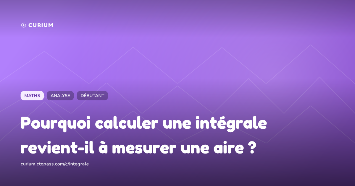 Pourquoi calculer une intégrale revient-il à mesurer une aire ?