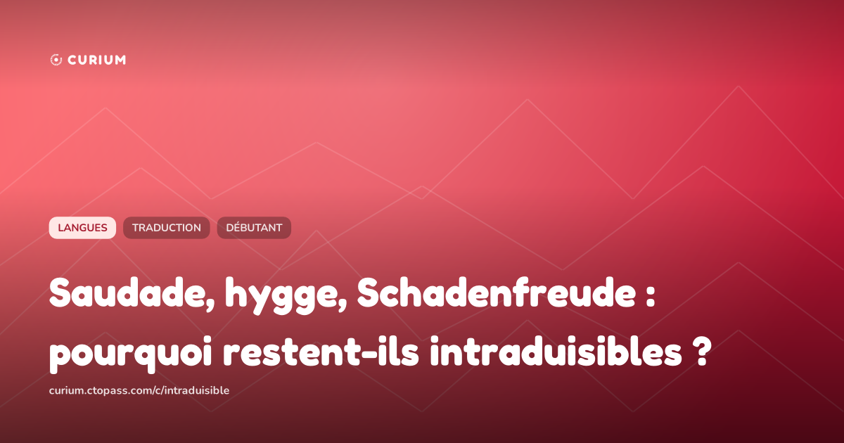 Saudade, hygge, Schadenfreude : pourquoi restent-ils intraduisibles ?