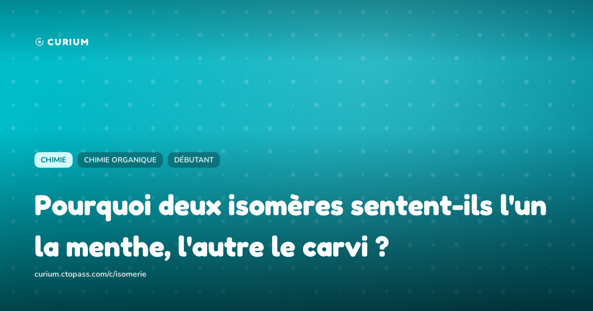 Pourquoi deux isomères sentent-ils l'un la menthe, l'autre le carvi ?