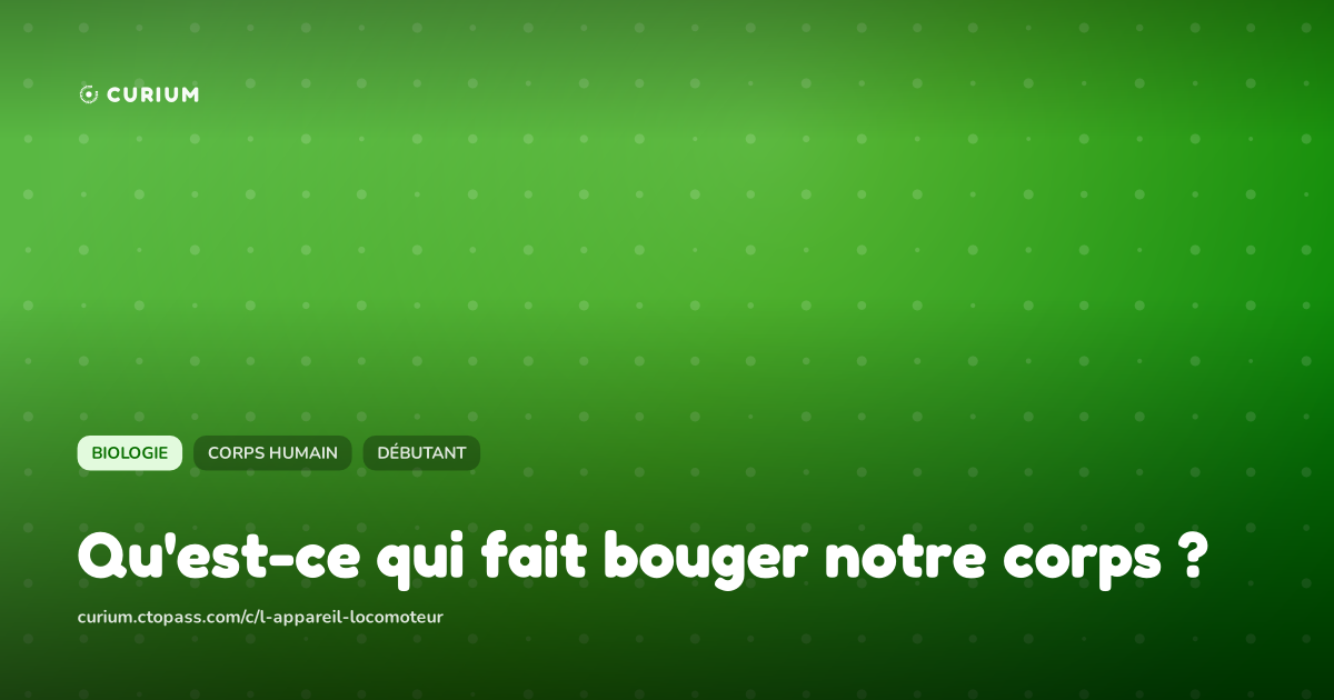 Qu'est-ce qui fait bouger notre corps ?