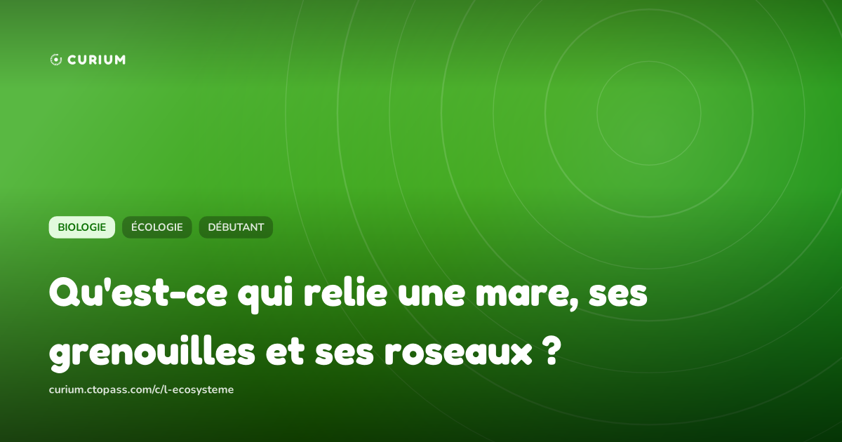 Qu'est-ce qui relie une mare, ses grenouilles et ses roseaux ?