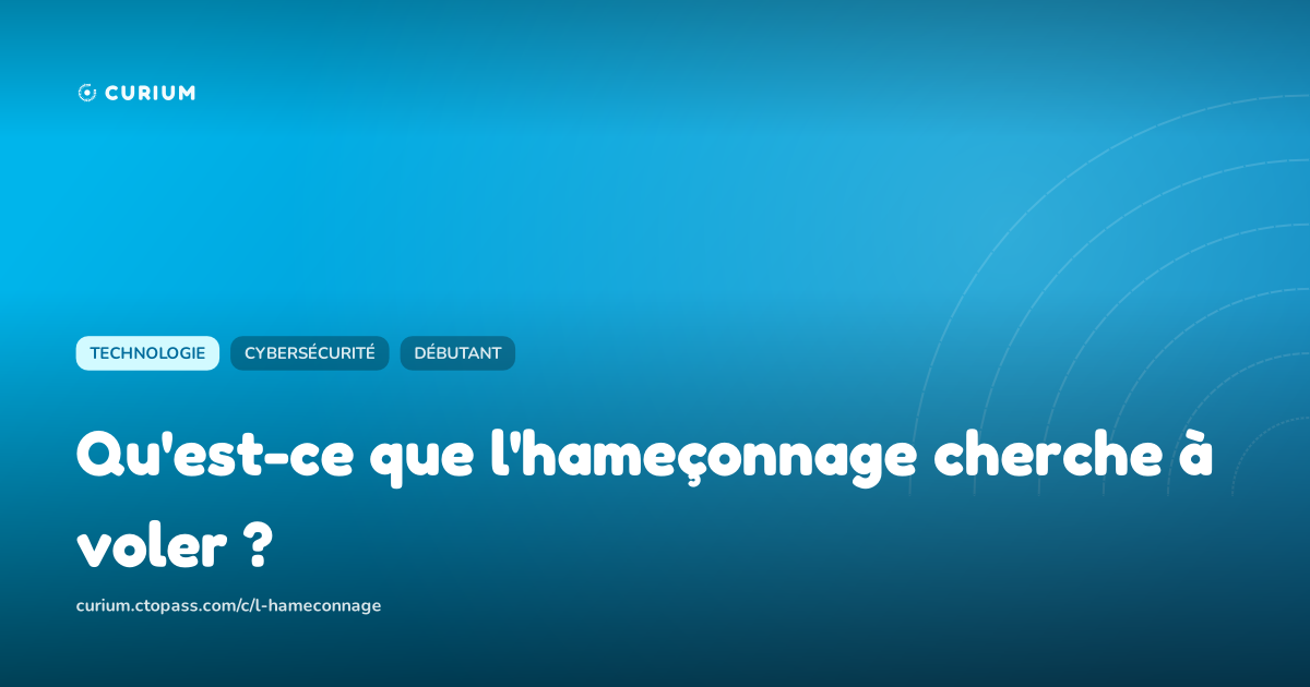 Qu'est-ce que l'hameçonnage cherche à voler ?