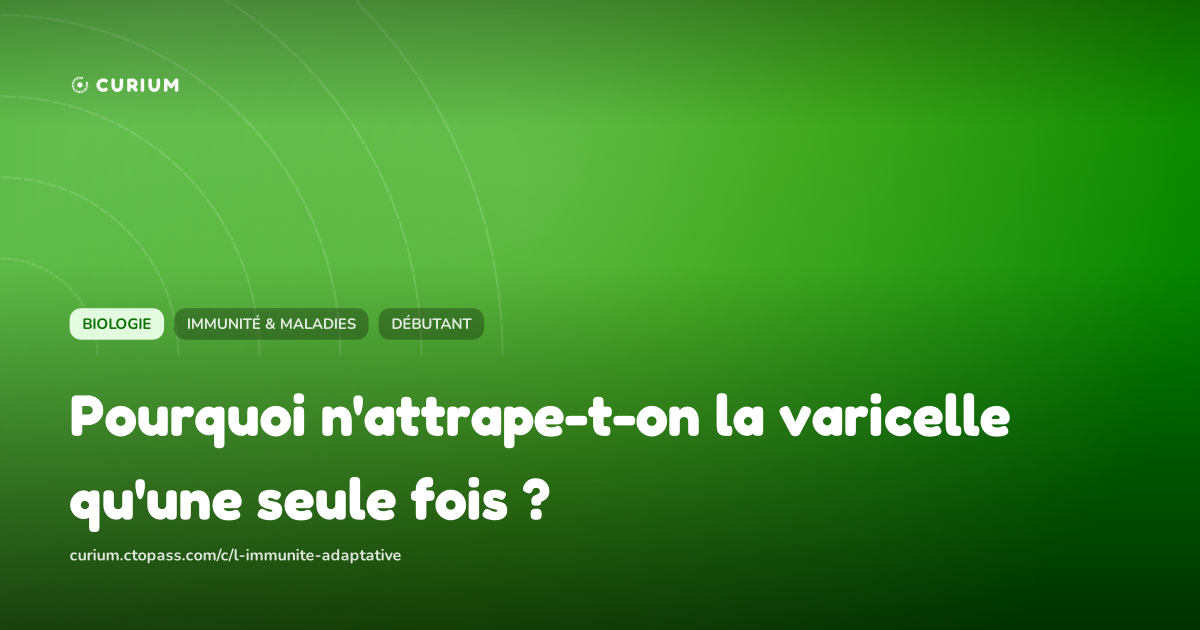 Pourquoi n'attrape-t-on la varicelle qu'une seule fois ?