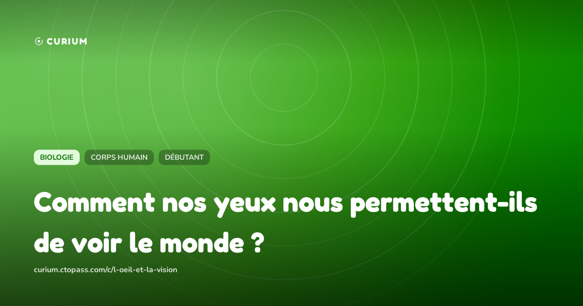 Comment nos yeux nous permettent-ils de voir le monde ?