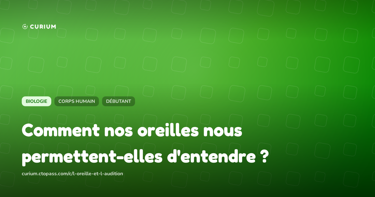 Comment nos oreilles nous permettent-elles d'entendre ?