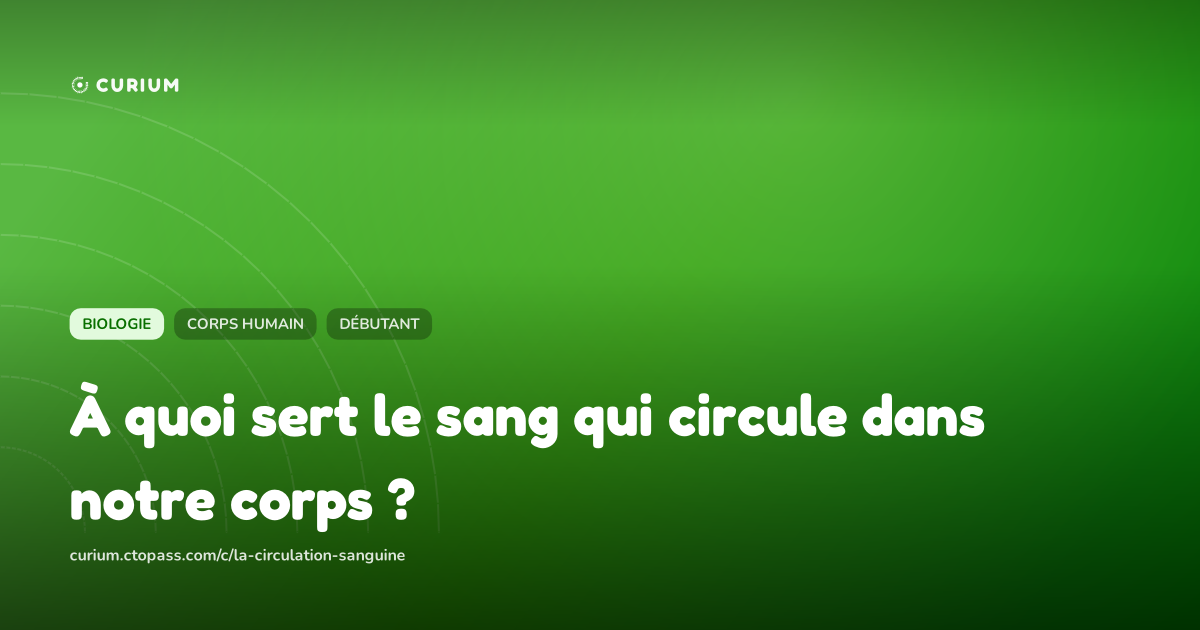 À quoi sert le sang qui circule dans notre corps ?