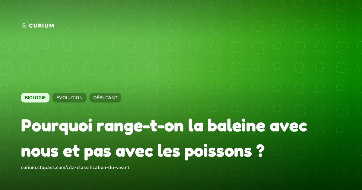 Pourquoi range-t-on la baleine avec nous et pas avec les poissons ?