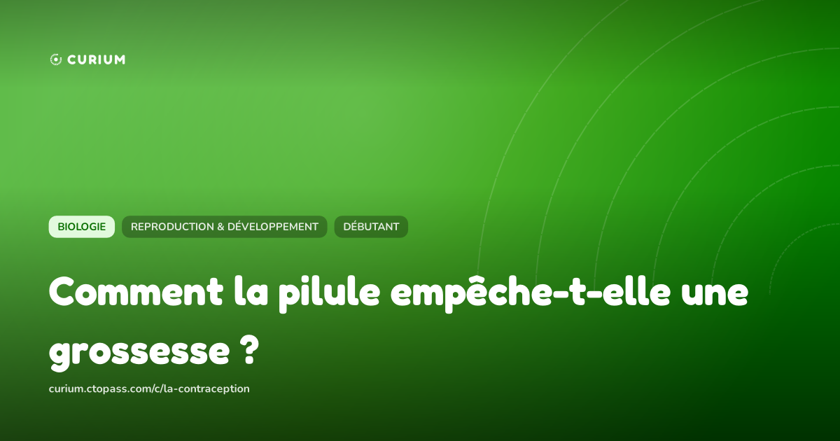 Comment la pilule empêche-t-elle une grossesse ?