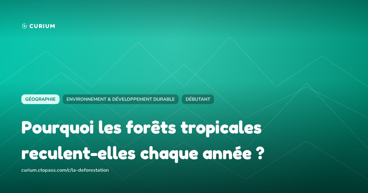 Pourquoi les forêts tropicales reculent-elles chaque année ?