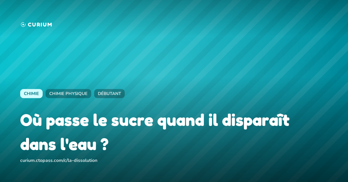 Où passe le sucre quand il disparaît dans l'eau ?